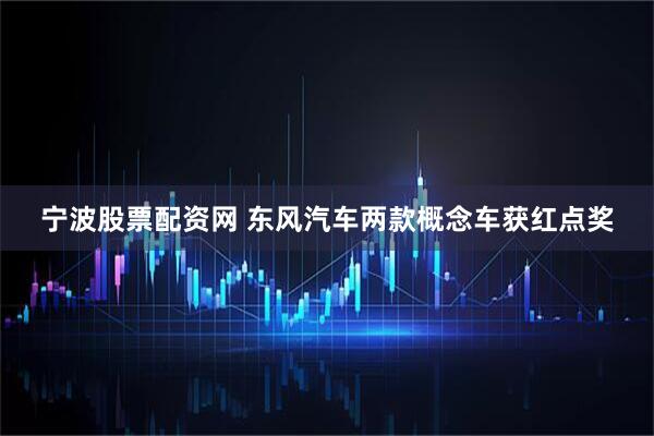 宁波股票配资网 东风汽车两款概念车获红点奖